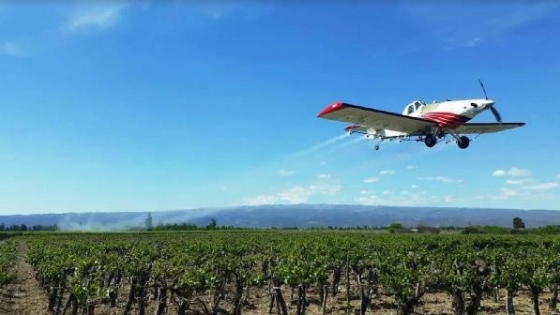 Mendoza incorpora drones y vuelos aéreos para combatir la Lobesia botrana en 90.000 hectáreas de viñedos