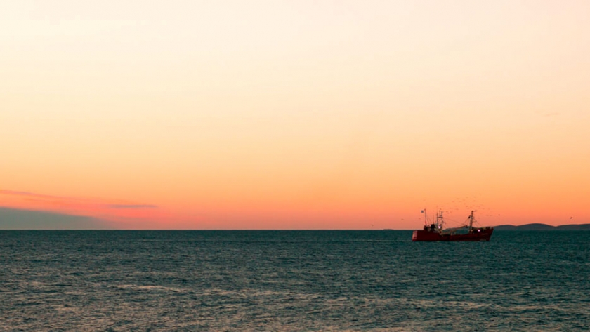 Por la bajante del Paraná, acuerdan mantener el cupo de exportación de sábalo
