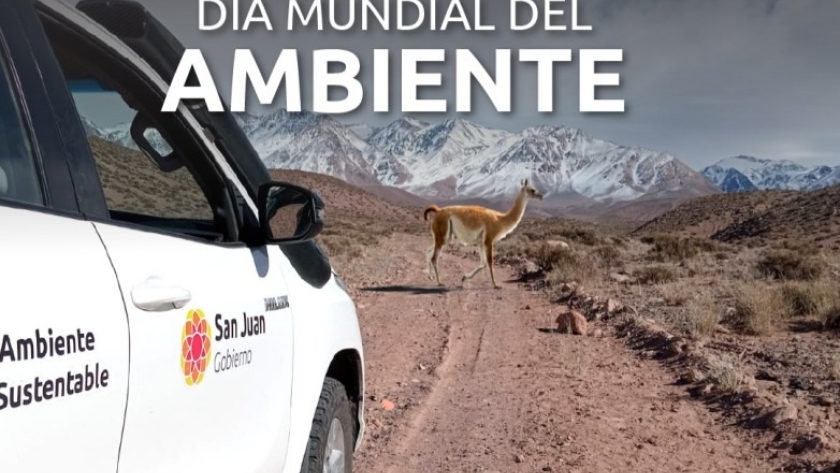 Día Mundial del Ambiente 2024: un llamado urgente a la restauración de los ecosistemas