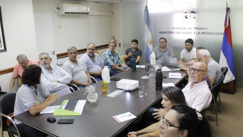 Agro: identifican el agente causal de agallas en yerba mate y definen medidas que pueden aplicar los productores