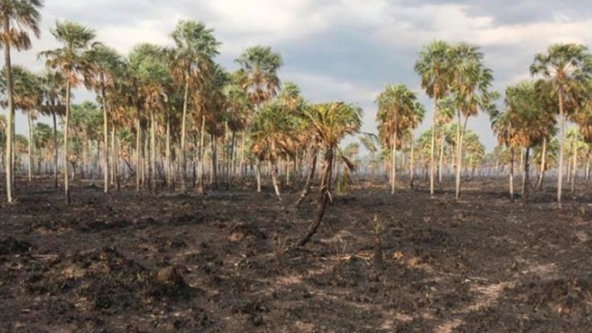 Declaran la emergencia agropecuaria en la Provincia de Formosa por sequía