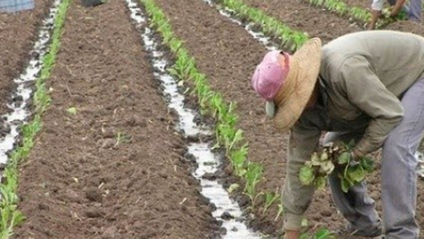 El Renatre trabaja en la incorporación de protocolos para cuidar la salud de trabajadores migrantes