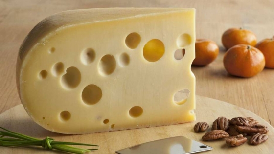 <¿Por qué el queso suizo tiene agujeros?