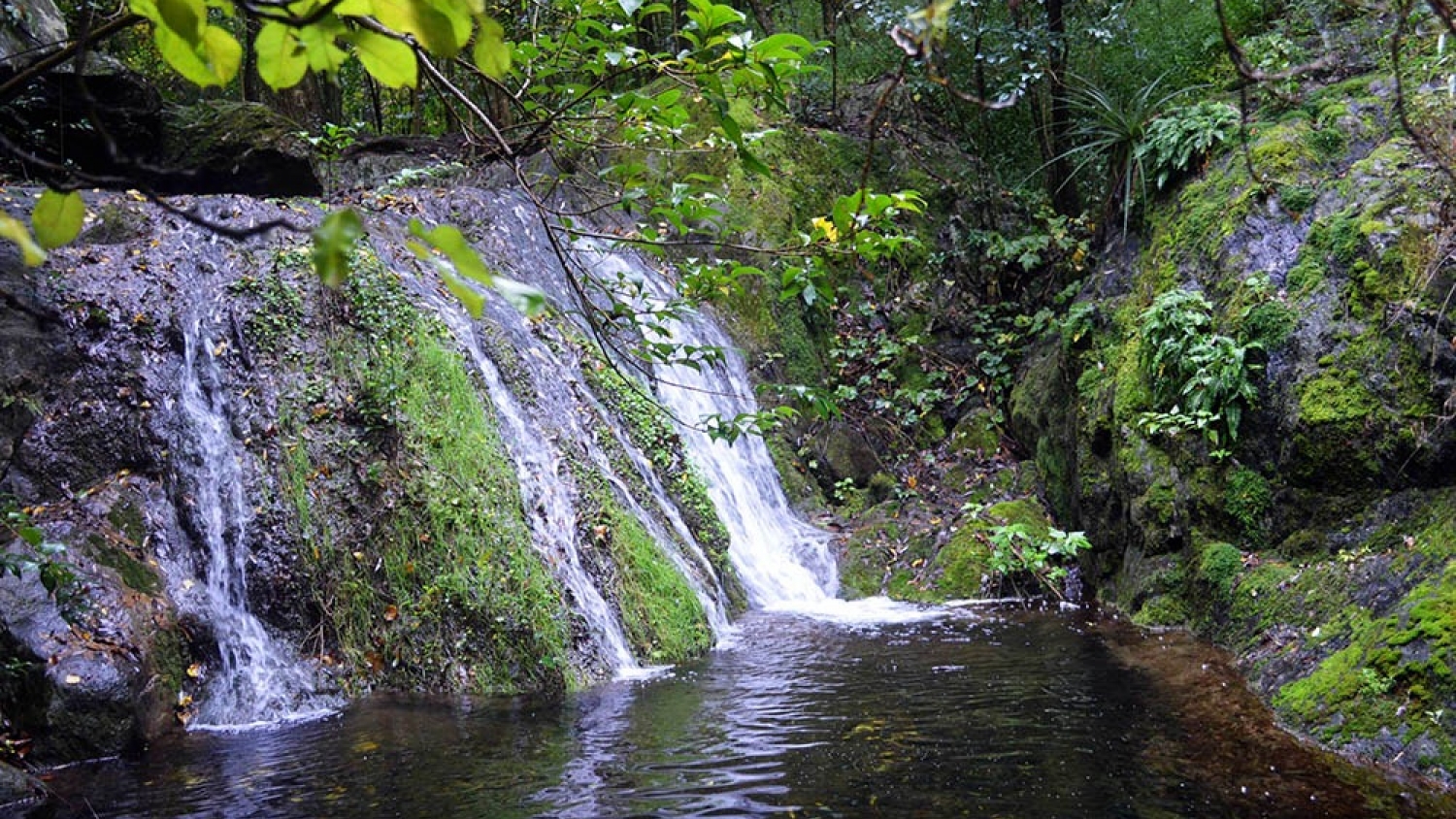 Casa Bamba, el refugio serrano que combina cascadas, senderos y calma a minutos de la ciudad de Córdoba