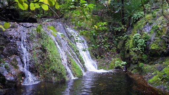 Casa Bamba, el refugio serrano que combina cascadas, senderos y calma a minutos de la ciudad de Córdoba