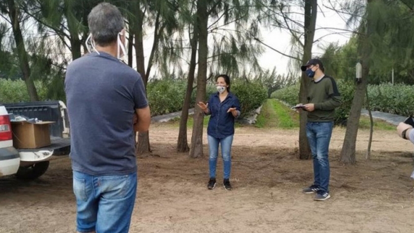 Avanzan en nuevas acciones para el fortalecimiento del sector arandanero correntino