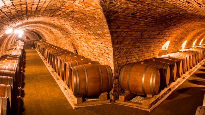 San Rafael, cuna de un Malbec histórico