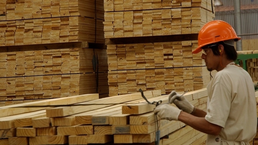 La industria de la madera muestra señales de recuperación: récord de exportaciones y mejora gradual del mercado interno