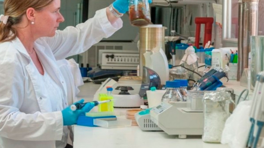 Bioetanol: descubren bacteria que degrada biomasa