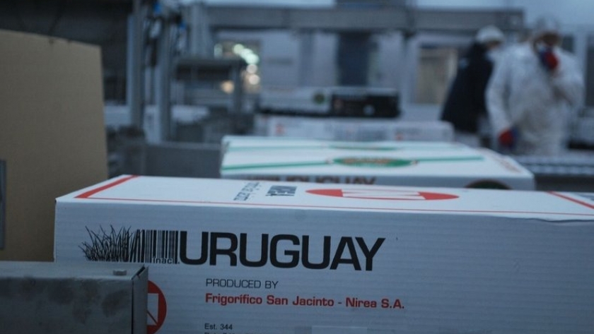 Qué hay atrás de la fuerte demanda china por carne ovina Uruguaya