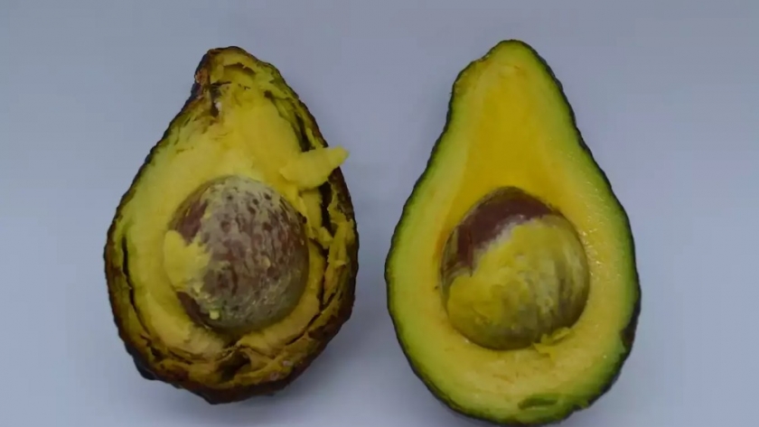 “Es una problemática mundial”: tres investigadores descubrieron cómo evitar el deterioro de frutas y verduras