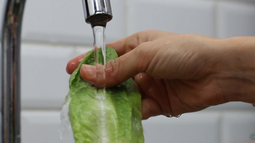 Cuidados a tener en cuenta para consumir alimentos seguros