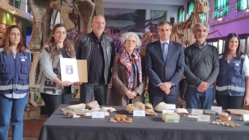 Río Negro recuperó más de 6.400 fósiles que intentaron contrabandear