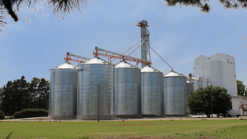 Fiscalización a la primera producción de harina de trigo orgánica refinada del país