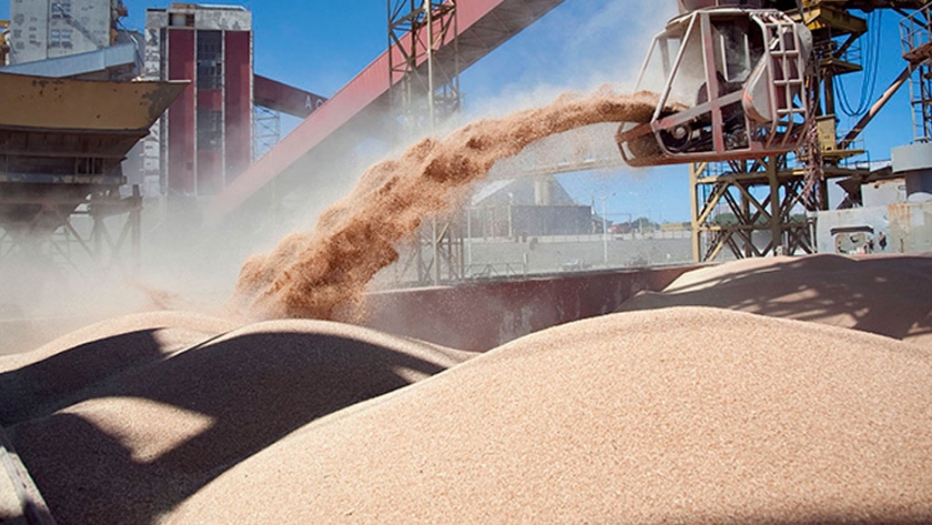 La baja de retenciones al agro no generó un mayor ingreso de divisas