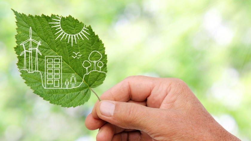 Más de 800 docentes mendocinos y 7 mil estudiantes de la provincia recibieron capacitación sobre energía y sustentabilidad
