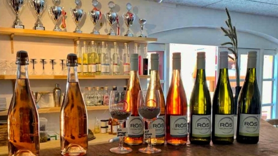 El vino de Armenia conquista paladares y rescata una tradición vitivinícola milenaria