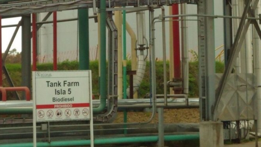 En junio el biodiésel no tuvo precio: Las pymes productoras denunciaron al gobierno por tener una actitud “arbitraria, ilegal y discriminatoria”