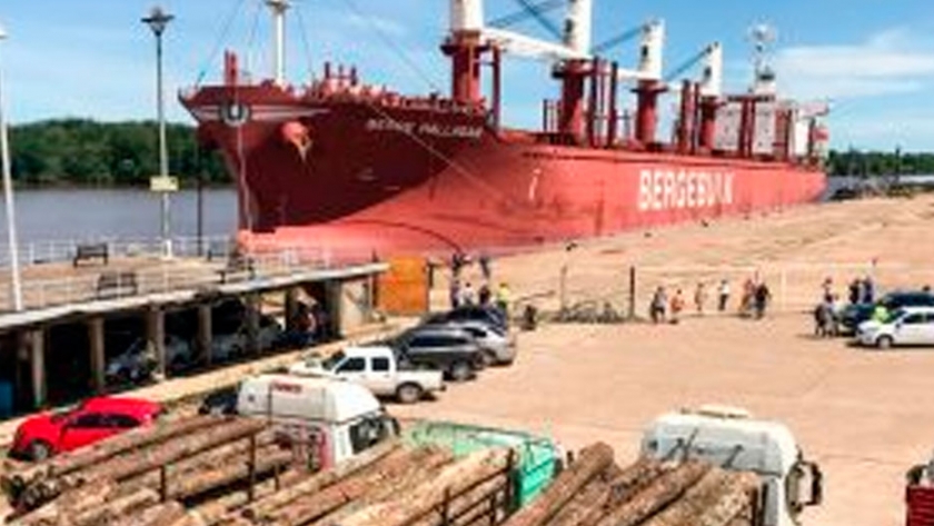 Argentina exporta 1.2 millones de toneladas de madera a través de puertos de Entre Ríos