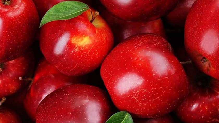 Inscripción en el Renspa y en los programas de exportación de frutas frescas