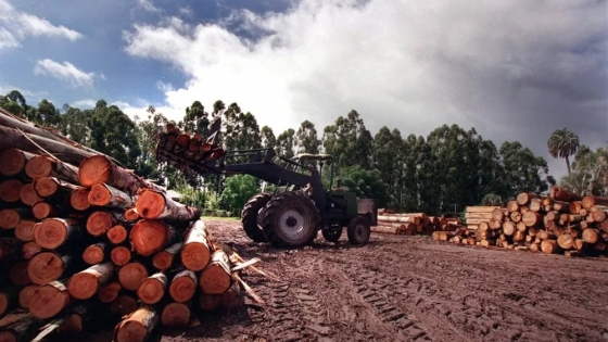 Una empresa de maquinaria forestal está parada porque no le aprueban importaciones