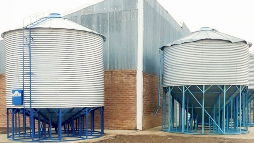 Avanzan las obras de la planta de alimentos balanceados y sala de faena avícola en Paso Aguerre