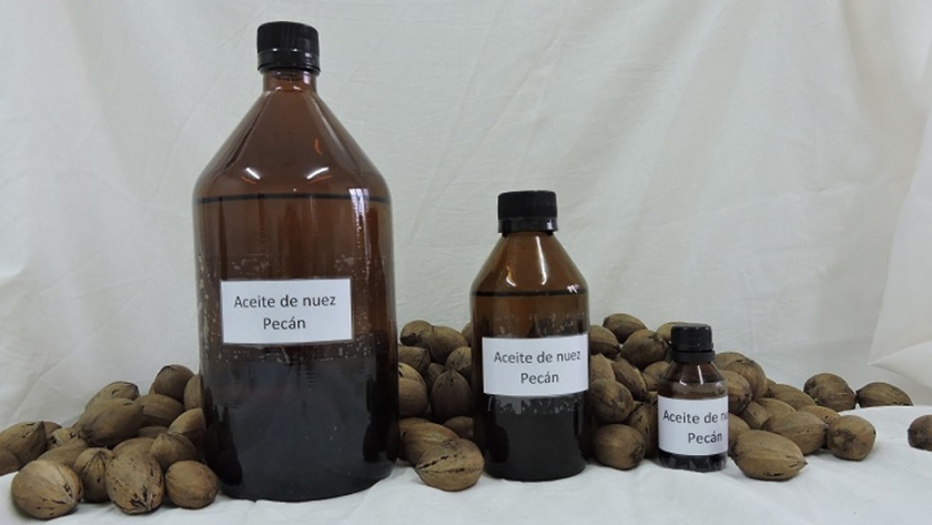 Evalúan la calidad del aceite de nuez pecán