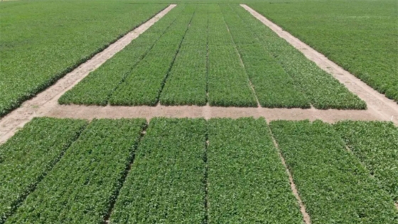 La propuesta inédita de un campo experimental privado que crece en Argentina