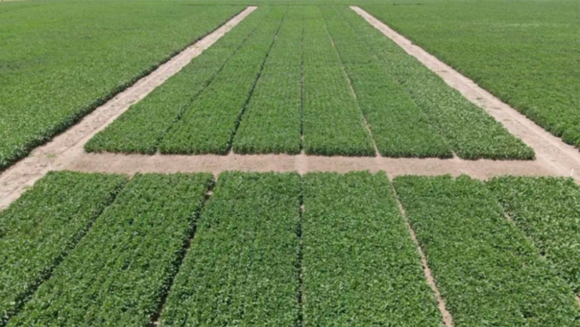 La propuesta inédita de un campo experimental privado que crece en Argentina