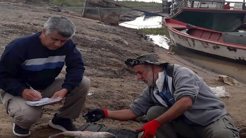 Brindan detalles sobre la bajante del río Paraná y preservación del recurso ictícola