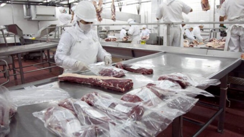 Siguen imparables las exportaciones de carne vacuna: En febrero representaron el 27% de la oferta total