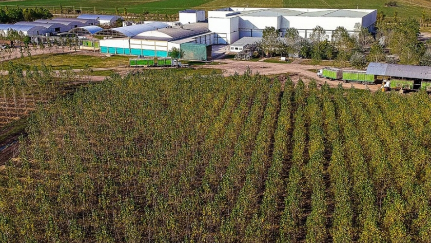 La provincia destacó la conducta productiva y el compromiso ambiental de un frigorífico entrerriano