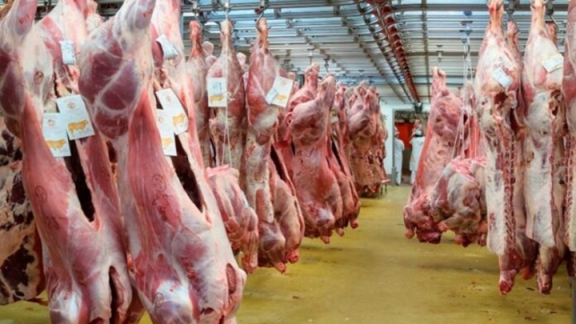 Carnes a China: nuestro principal destino en el centro de la escena