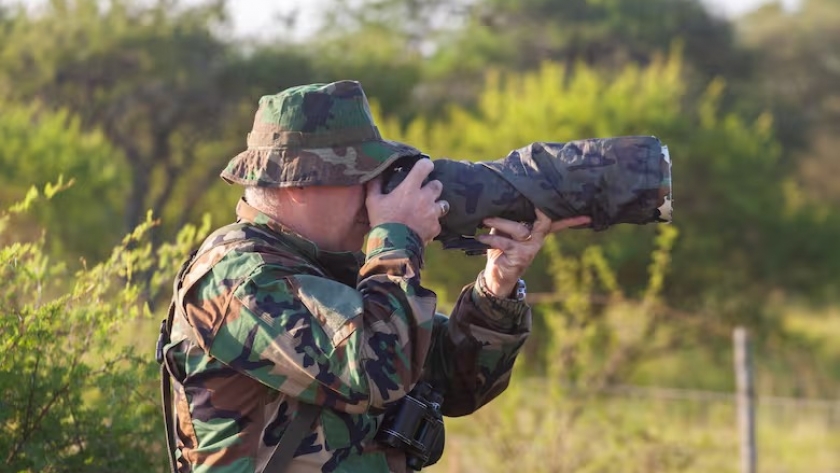 Ceibas, Entre Ríos: la meca internacional para el avistaje de aves que atrae turistas de todo el mundo