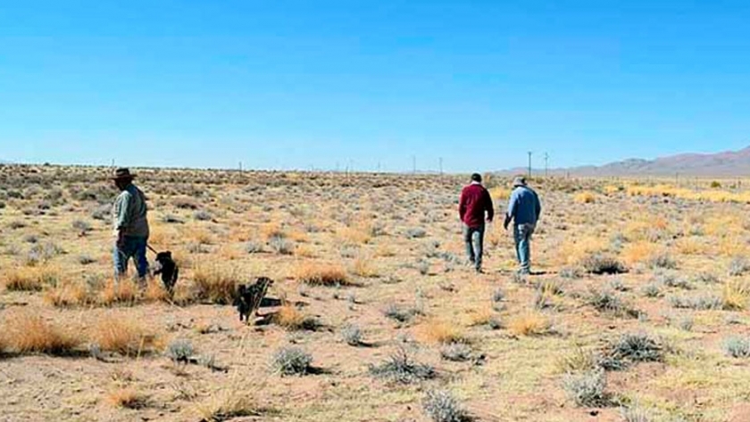 El Gobierno Nacional invierte en prácticas sustentables para el mejoramiento de tierras