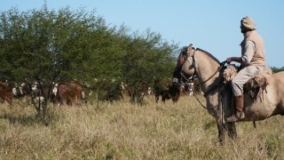 Juramento invierte US$ 22,8 millones y amplía su negocio ganadero
