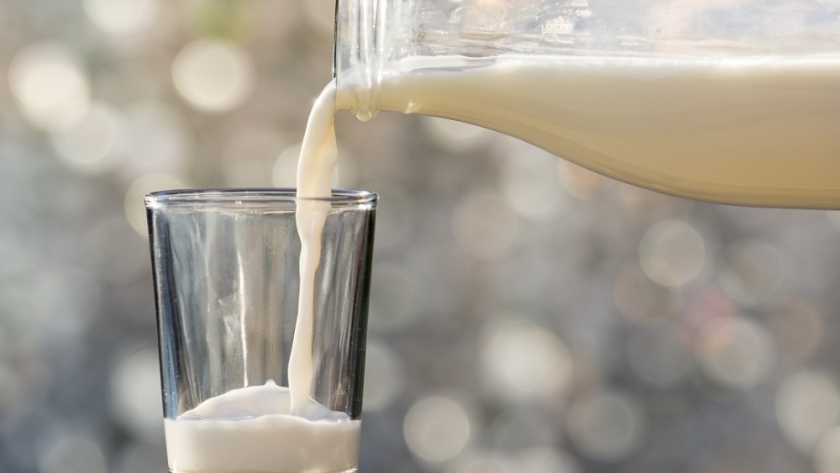 Prueba exploratoria de un derivado de la leche en agricultura extensiva