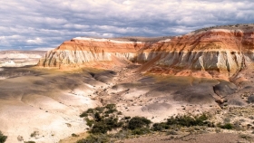 El bosque de piedra que sorprende en Chubut: árboles de más de 100 metros y un viaje a 65 millones de años