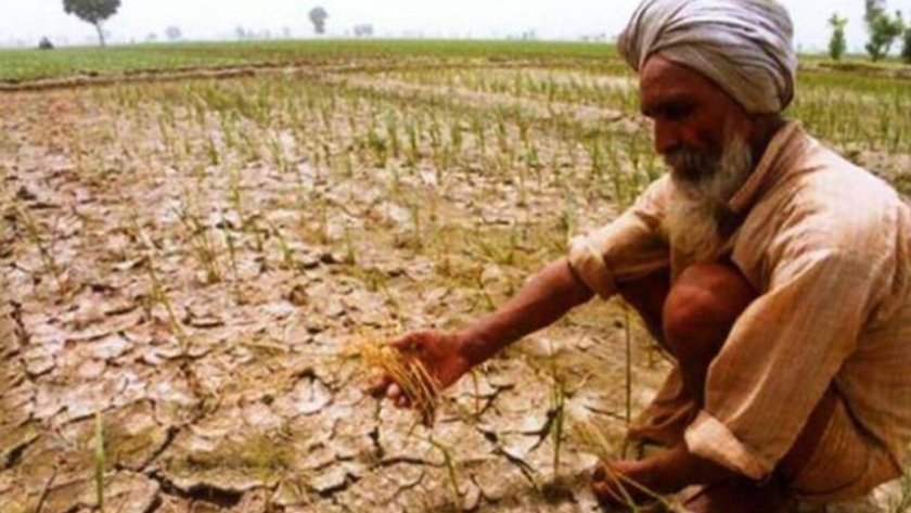Cómo el nuevo proyecto de ley de gestión de plaguicidas 2020 puede empoderar a los agricultores de la India e impulsar el crecimiento económico