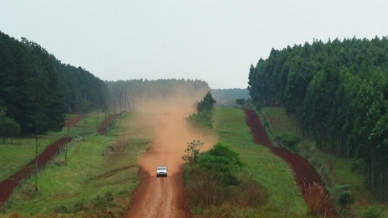 Mega proyecto forestal apuesta a la producción sustentable y posiciona a Argentina en el mercado global de celulosa