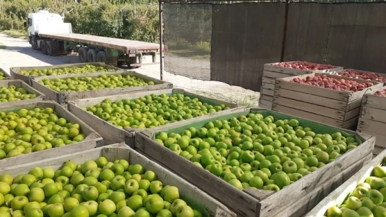 Tiempo de descuento para el Premio Estímulo a la producción