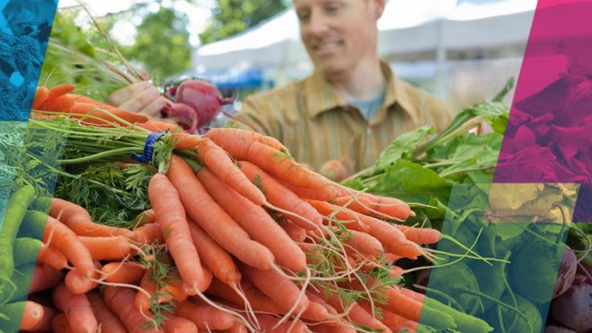 Sistemas alimentarios inteligentes y sostenibles