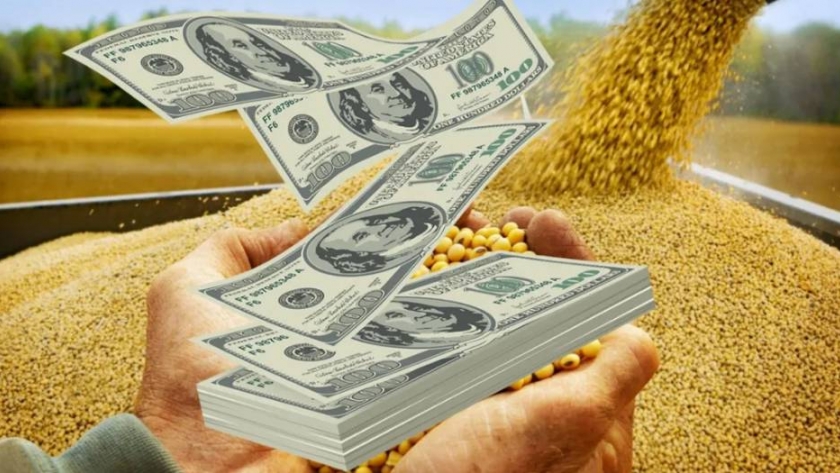Inyección de divisas gracias a las exportaciones del campo