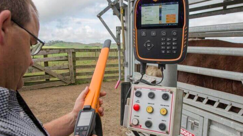 Software de manejo animal (aps) gallagher