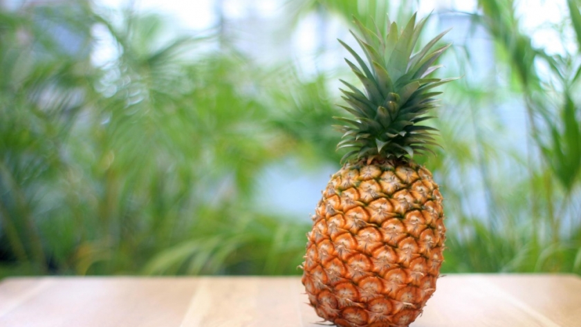 Cinco pruebas para reconocer si un ananá está maduro