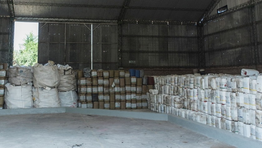 Fitosanitarios: Entre enero y julio se recuperaron más de 2 millones de envases vacíos