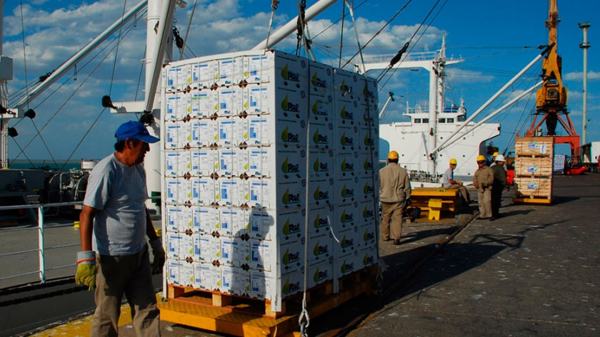 La exportación de peras y manzanas de Río Negro se amplió en el mercado latinoamericano