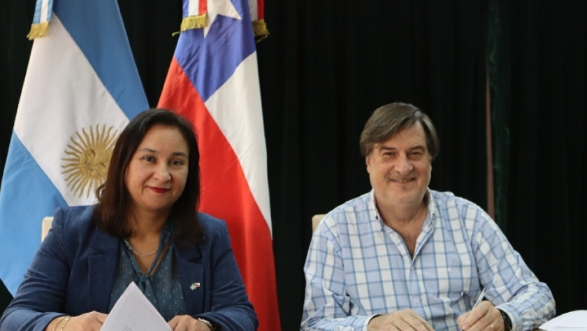 Argentina y Chile acordaron una agenda sanitaria para fortalecer el comercio de productos