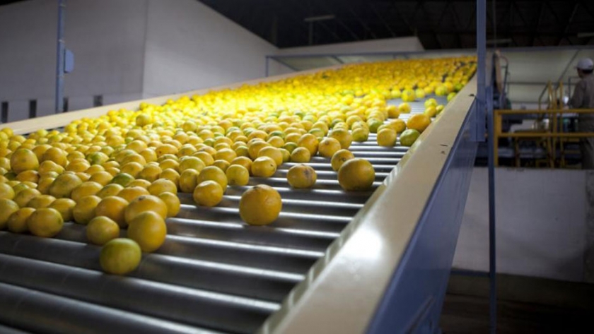 Creció un 13,9% la exportación de frutas frescas en el primer cuatrimestre de 2020