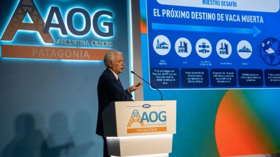 YPF analiza inversiones por US$ 75.000 millones en Argentina LNG
